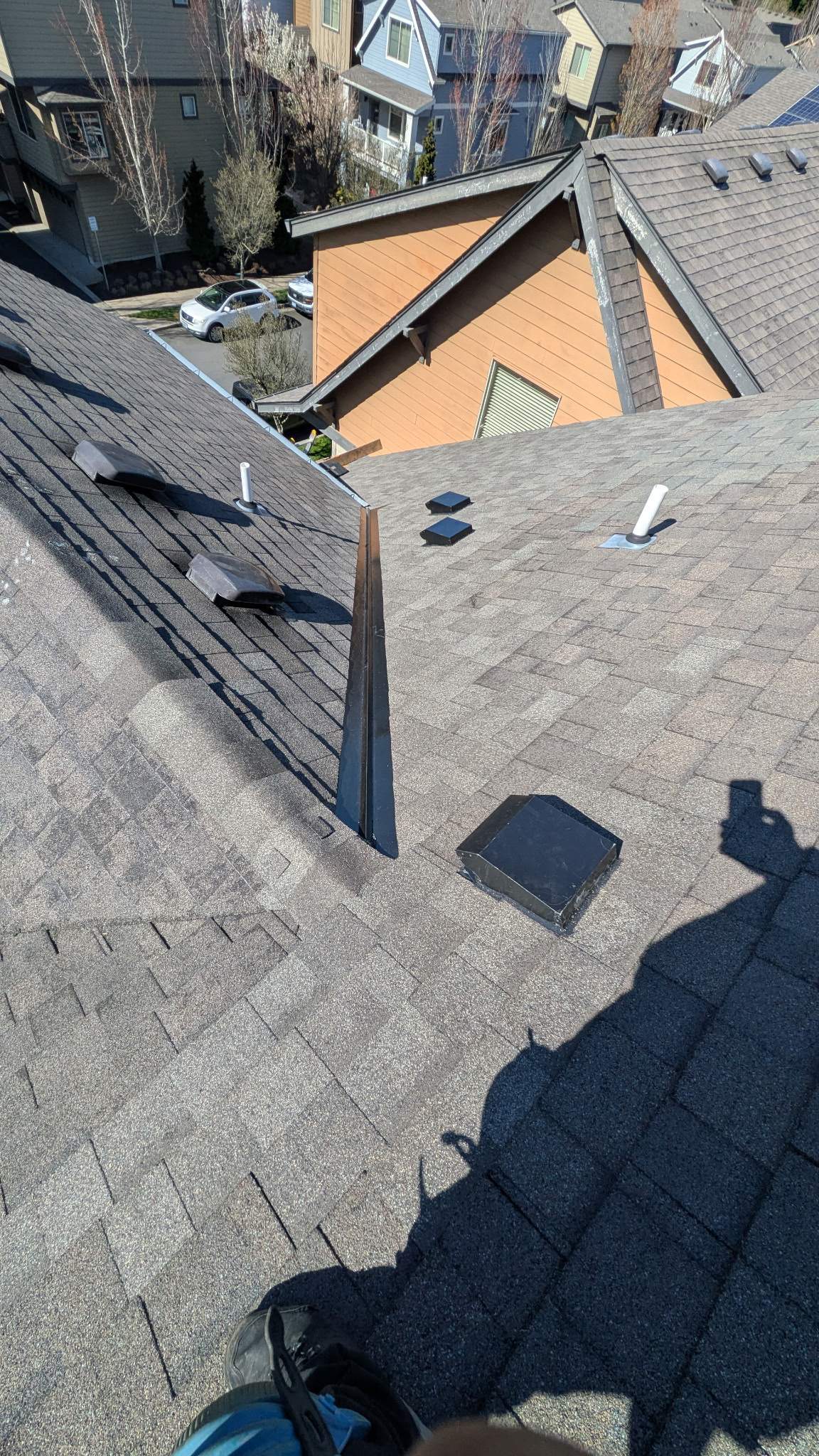 Roof Repair due to Microbial Growth Thumbnail