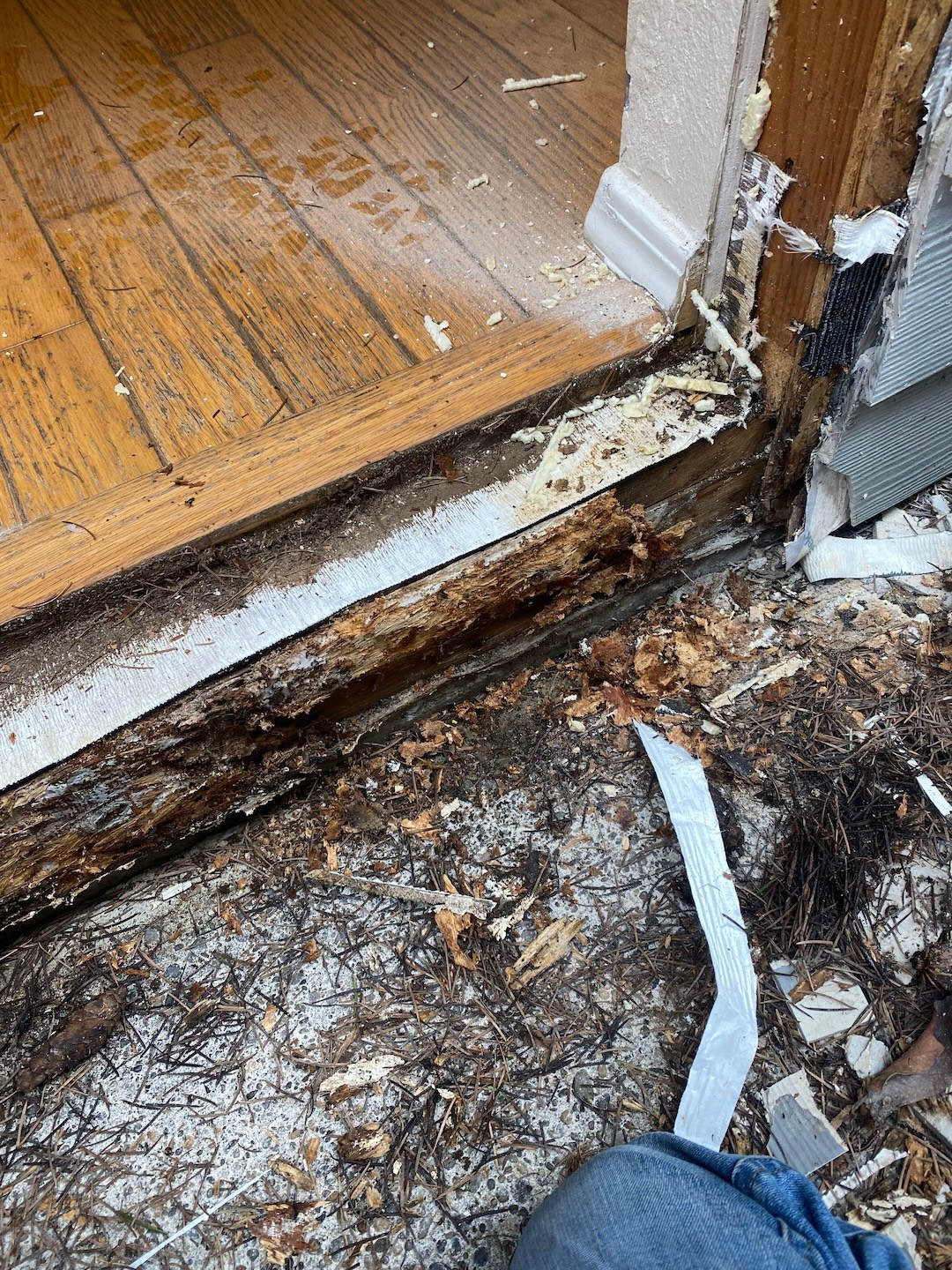 Window & Door Dry Rot Repair Thumbnail