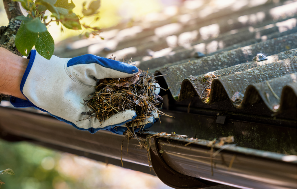 Image of gutter cleaning