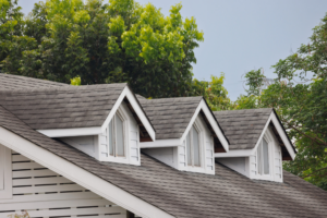 Image of home roof for exterior home remodeling.